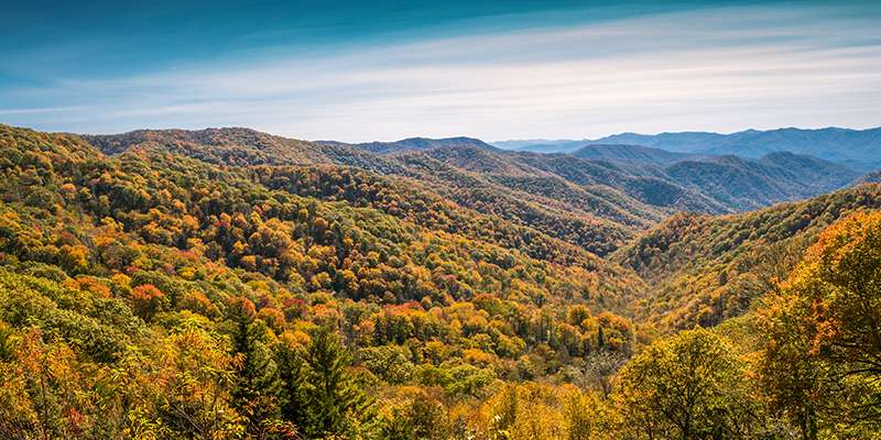 Top Things to do in Knoxville in the Fall